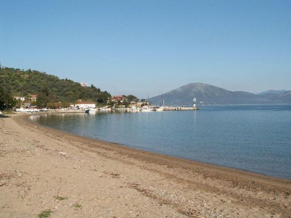 Amazing Sea View-Neos Pyrgos Beach -Evoia Greece Neos Pirgos Exterior photo
